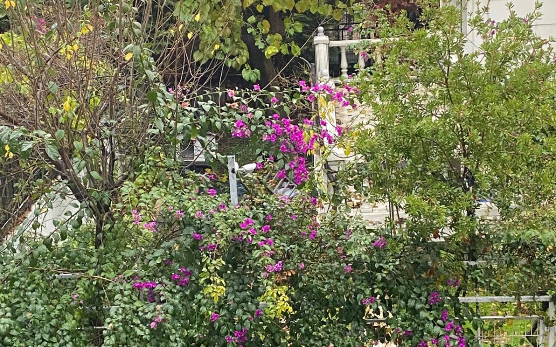 FIRSAT ŞENLİKKÖYDE ARSA PAYI YÜKSEK DAİREMİZ