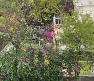 FIRSAT ŞENLİKKÖYDE ARSA PAYI YÜKSEK DAİREMİZ