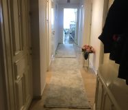 MERTERİN EN MERKEZİ KONUMLARINDAN ALTAY SOKAKTA