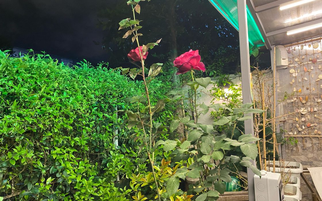 SİMİTAŞ BLOKLARINDA BAHÇE KATI BARBEKÜ KEYİFLİ